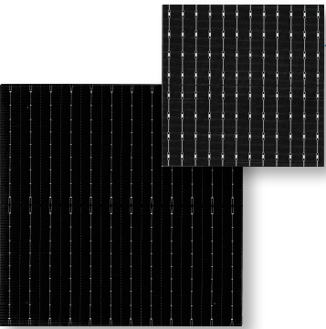 210單晶十二主柵PERC電池片